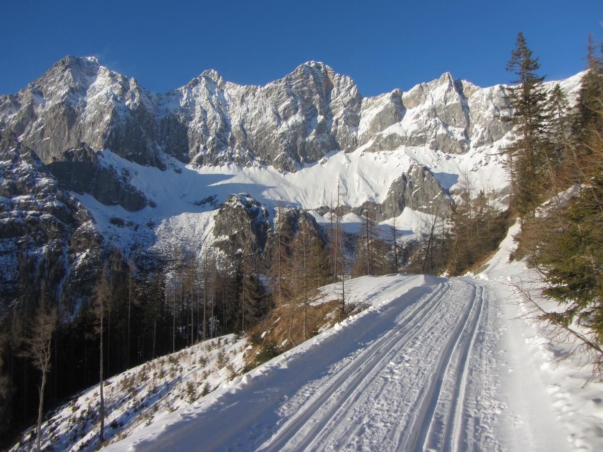 Gloesalm Apartamento Ramsau am Dachstein Exterior foto